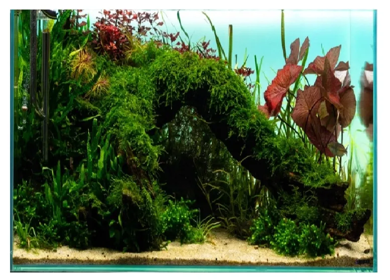 diversa-backlight-panel-oswietleniowy-tlo-do-akwarium-rgb-led-80x40cm-efekt