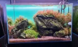 diversa-backlight-panel-oswietleniowy-tlo-do-akwarium-rgb-led-80x40cm-efekt-stan-nowy-umiejscowienie-zewnetrzne