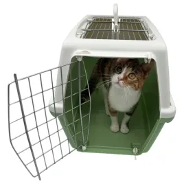transporter-vision-open-psa-kota-krolika-54x36x36-zielony