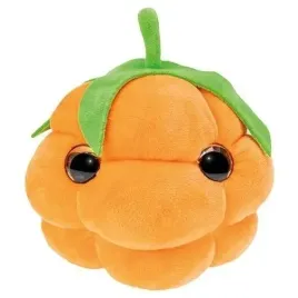 lumo-stars-veggies-and-berries-malina-hilla