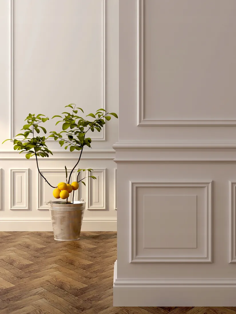 listwa-scienna-sztukateria-mardom-decor-md413-stan-nowy