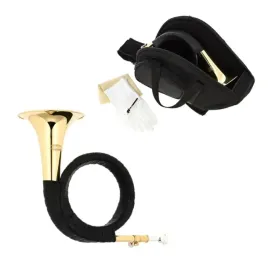 rog-mysliwski-bb-furst-pless-horn