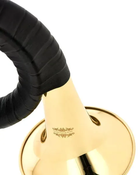 rog-mysliwski-bb-furst-pless-horn-stan-nowy