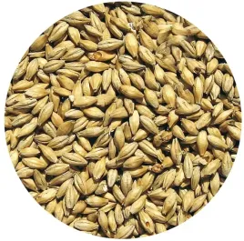 slod-carabody-viking-malt-1kg