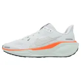 zoom-pegasus-41