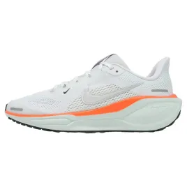 zoom-pegasus-41