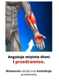 sprezyna-do-sciskania-2szt-sciskacz-do-dloni-rodzaj-inny