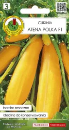 dynia-zwyczajna-nasiona-wczesna-cukinia-atena-polka-do-przetworu-f1-2g-pnos