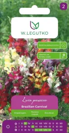 lwia-paszcza-wysoka-brazilian-carnival-nasiona-06-g-legutko