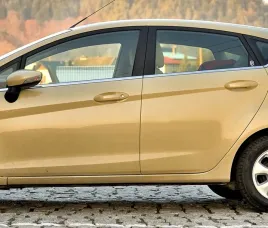 ford-fiesta-mk7-listwy-chrom-okienne-boczne-drzwi