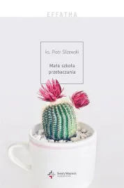 effatha-mala-szkola-przebaczania-piotr-slizewski
