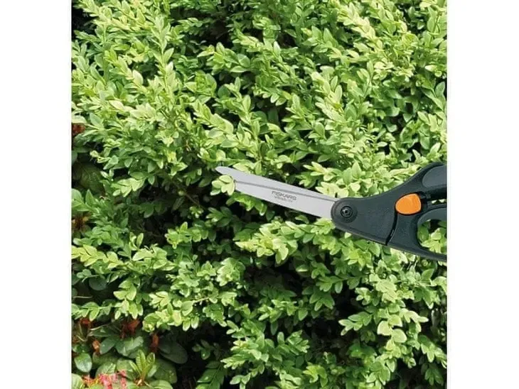 fiskars-1000557-nozyce-do-trawy-s50-dlugosc-robocza-16-cm