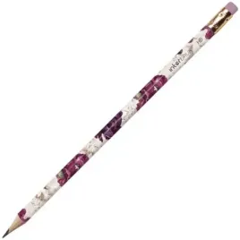 olowek-tradycyjny-hb-z-gumka-trends-int