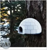 igloo-domek