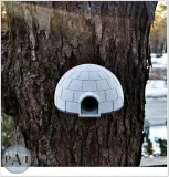 igloo-domek