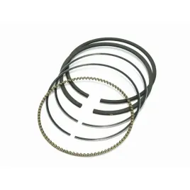 pierscienie-tloka-briggsandstratton-quantum-790360