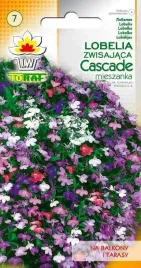 lobelia-cascade-zwisajaca-mix-nasiona-lobelii-01g-toraf-jednoroczna