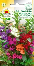 nasiona-balsaminy-kameliowej-karlowej-mix-kolorow-marki-toraf-05g