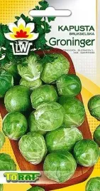 2g-nasion-brukselki-kapusta-brukselska-groninger
