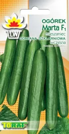 1g-nasion-ogorka-marta-f1-odmiana-wczesna-szklarniowy-mieszaniec-toraf