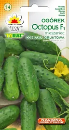ogorek-octopus-gruntowy-nasiona-ogorka-1g-toraf-sredniowczesny