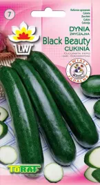 nasiona-cukinii-black-beauty-5g-toraf-dynia-zwyczajna