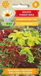 koleus-pokrzywka-rainbow-mixture-nasiona-koleusa-02g-toraf-jednoroczny