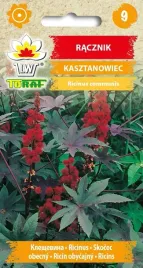 racznik-kasztanowiec-czerwony-nasiona-racznika-8szt-toraf-jednoroczny