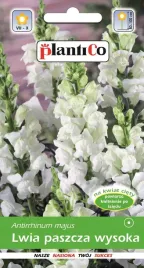 lwia-paszcza-wysoka-biala-nasiona-kwiaty-lwiej-paszczy-plantico-0-5g
