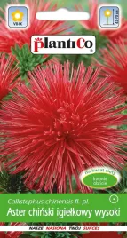 aster-igielkowy-czerwony-ognisty-ptak-nasiona-1g