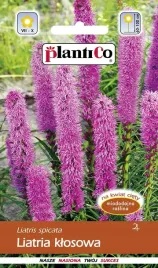 liatra-klosowa-rozowa-bylina-nasiona-kwiatostany-liatrii-plantico-05g