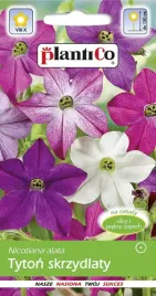 tyton-ozdobny-skrzydlaty-mix-kolorow-nasiona-0-3g