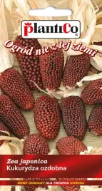kukurydza-ozdobna-jadalna-truskawkowa-nasiona-kukurydzy-plantico-2g
