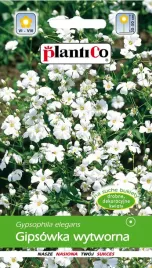 gipsowka-wytworna-biala-nasiona-kwiaty-gipsowki-plantico-1g-jednoroczna