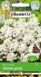ubiorek-gorzki-bialy-wabi-motyle-nasiona-ubiorka-plantico-2g-jednoroczny