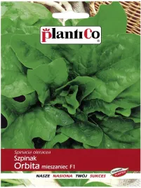szpinak-orbita-f1-pozny-duze-rozety-nasiona-szpinaku-plantico-10g