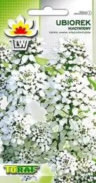 ubiorek-hiacyntowy-bialy-nasiona-toraf-1g