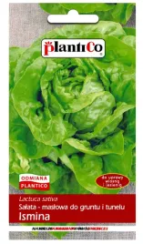salata-ismina-do-gruntu-i-tunelu-nasiona-salaty-1g-plantico-odmiana-wczesna