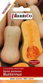dynia-pizmowa-butternut-nasiona-dyni-pizmowej-2g-plantico