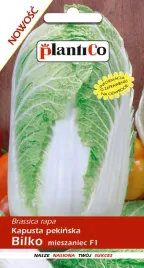 kapusta-pekinska-bilko-f1-nasiona-kapusty-pekinskiej-015g-plantico-odporna