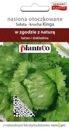 salata-krucha-kinga-nasiona-salaty-otoczkowane-plantico-sredniowczesna