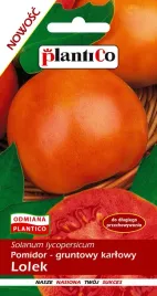 pomidor-lolek-pozny-nasiona-dlugie-pzechowywanie