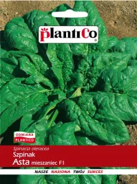 szpinak-asta-f1-wczesny-nasiona-szpinaku-plantico-10g-szybko-rosnacy