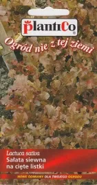 salata-kedzierzawa-czerwona-rossa-ogrodowa-nasiona-salaty-1g-plantico-onz