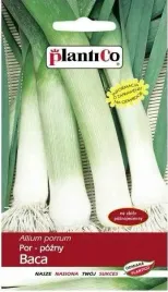 por-baca-odmiana-pozna-plenna-nasiona-pora-plantico-1g