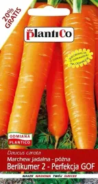 marchew-perfekcja-berlikumer-pozna-nasiona-plantic