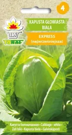 kapusta-biala-express-wczesna-stozkowa-nasiona