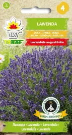 lawenda-lekarska-ziolo-nasiona-lawendy-02g-toraf-wieloletnia