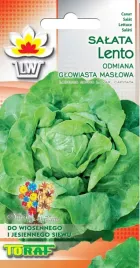 salata-lento-maslowa-duze-glowki-caloroczna-nasiona-salaty-1g-toraf
