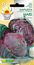 kapusta-glowiasta-czerwona-mars-nasiona-toraf